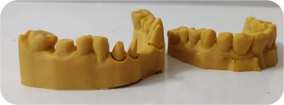 Modello dentario composito della stampa 3D della resina fotosensibile di camma di cad