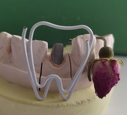 Posta e nucleo dentari del metallo dopo il trattamento Endodontic