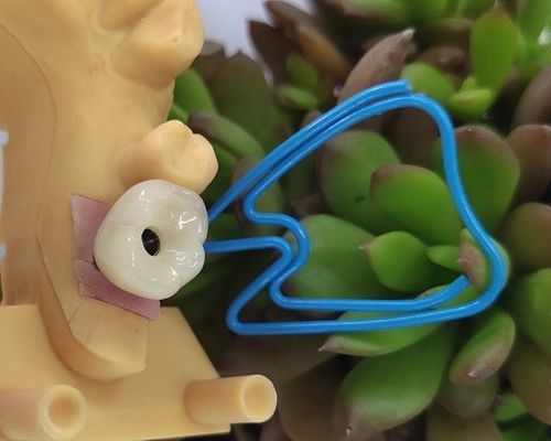 Singolo livello del dispositivo degli impianti dentari di Trushine OSSETEM del dente