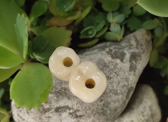Gli impianti dentari conservati vite del livello del dispositivo incoronano