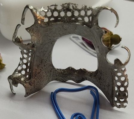 Struttura parziale del metallo della protesi dentaria della lega di titanio di progettazione di cad