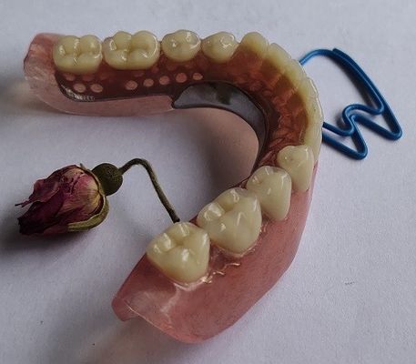 Protesi dentaria parziale acrilica di estetica permanente completa della protesi dentaria