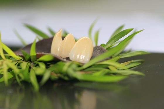 Le stelle piene della corona 5 dell'ossido di zirconio dell'odontoiatria prostetica progettano il laboratorio dentario