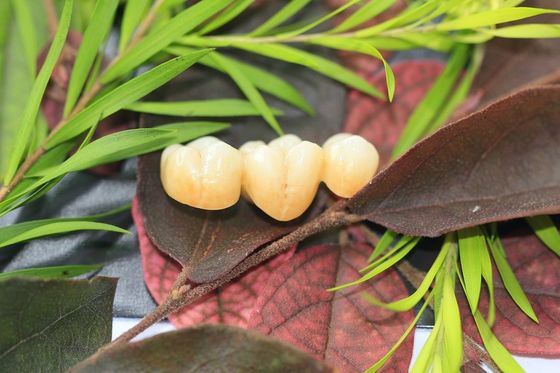 Corona dentaria del laboratorio di zirconio dell'ossido di biossido di zirconio dentario della porcellana con ceramico