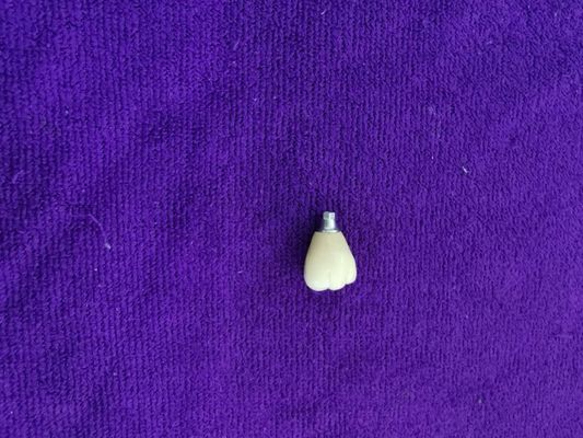 Singolo livello del dispositivo degli impianti dentari di Trushine OSSETEM del dente