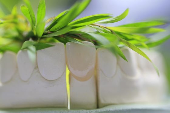 Corona dentaria ceramica di vetro permanente naturale per i denti anteriori
